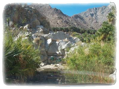 Canyon Guadalupe