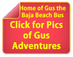 Home of Gus the Baja Beach Bus Click for Pics of Gus adventures