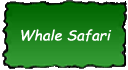 Whale Safari Adventurer Trek