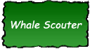 Whale Scouter Baja Vibe Trek