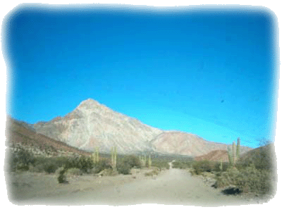 Bahia de Los Angeles hills