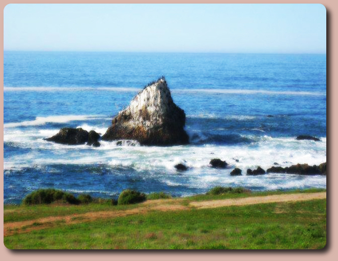 Beaches of Coyote Cals