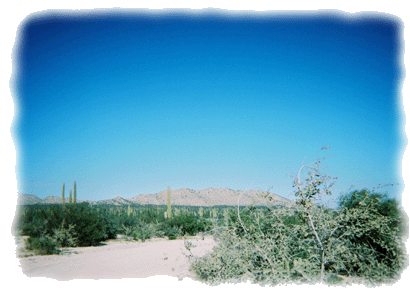 Desert road through Baja
