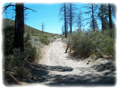 Dirt road in Baja