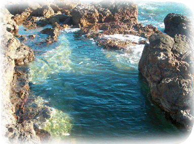 Puertocitos' Hot springs