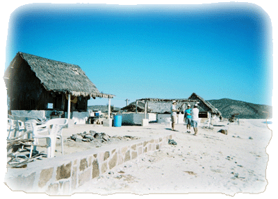 Palapas at the beach