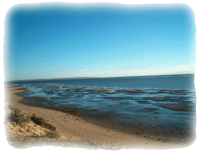 Bay at Guerrero Negro