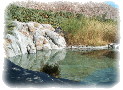 Canyon Gaudalupe hot springs