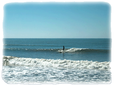 surfing