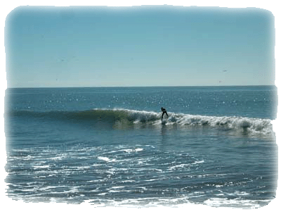 Surfer in Baja