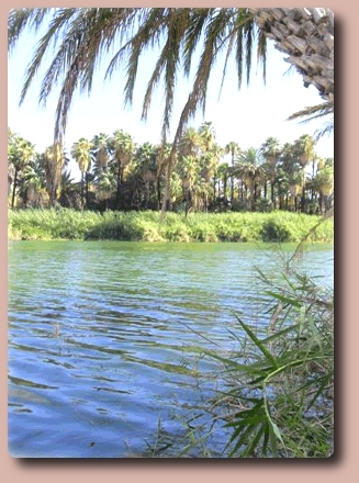 Lagoon at San Ignacio