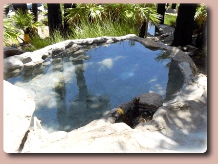 Hot Springs Tub