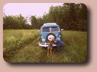 vw camper